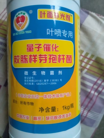 文章附图